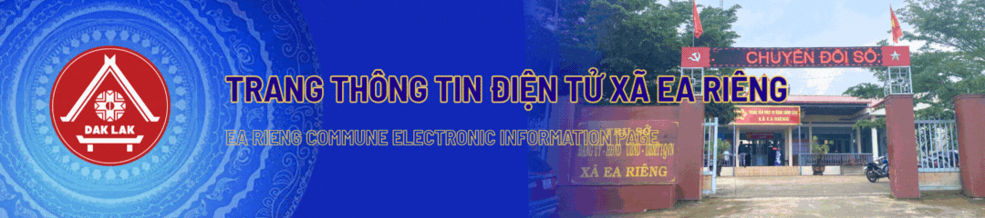 Banner Header Mobile